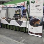 Rollup Poznań - ekspresowy druk systemów wystawienniczych