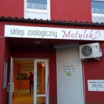 Szyld dla sklepu zoologicznego w Poznaniu